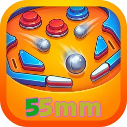 55mm